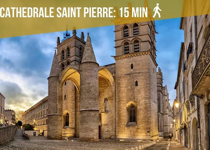 Le Saint Roch-Centre-Free Parking-Clim