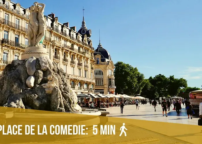 Le Saint Roch-Centre-Free Parking-Clim